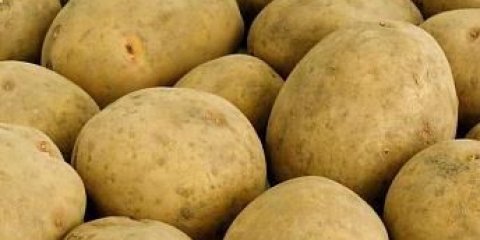 Karatop krompir: opis sorte, fotografije, recenzije